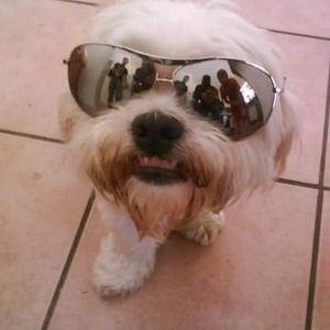 Meet your Posher, Robin